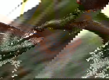 电竞大数据分析